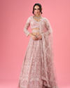 Dusty Pink Euphoria Net Lehenga